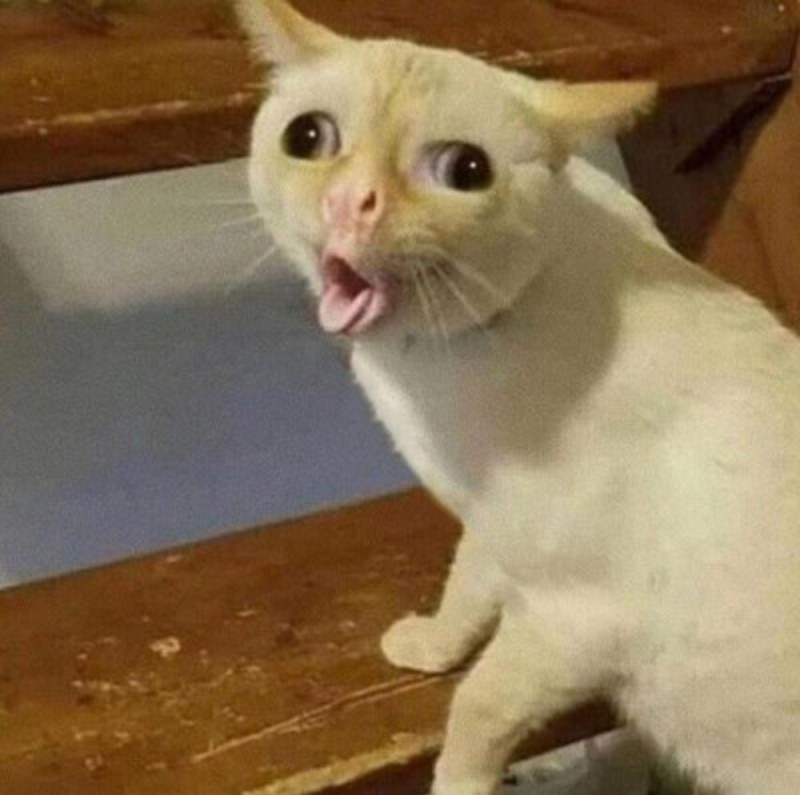 Wololo