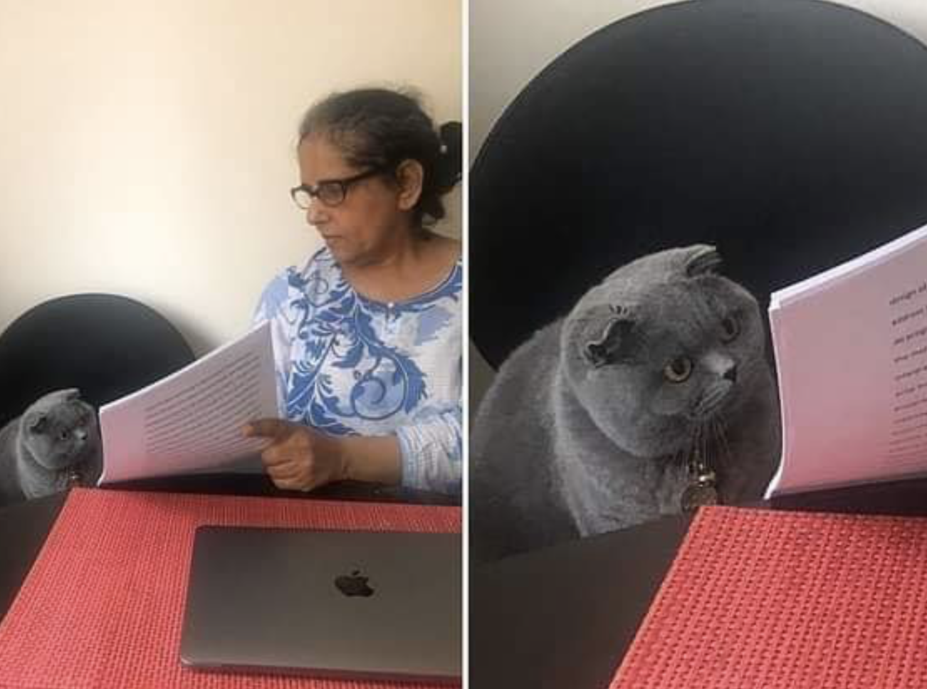 Woman showing evidence to Cat