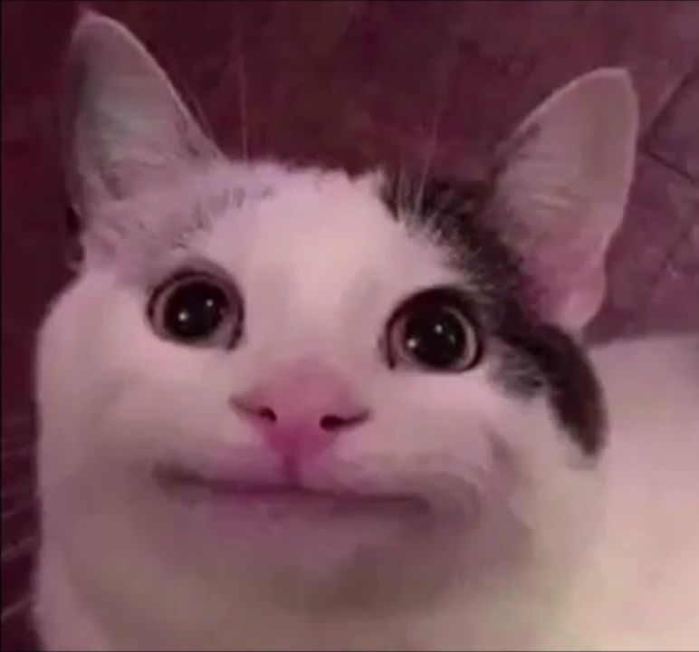 Akward Smile Cat