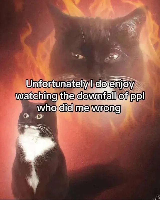 Evil cat
