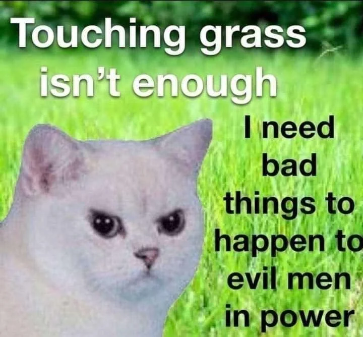 Revenge cat