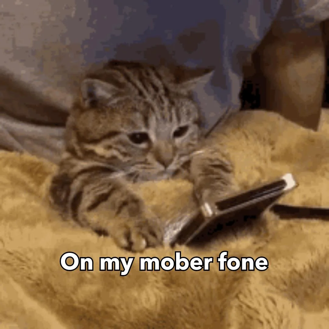 Mober Fone Cat
