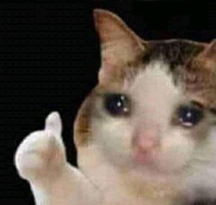 Sad Thumb Up Cat