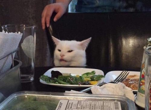 Smudge Cat