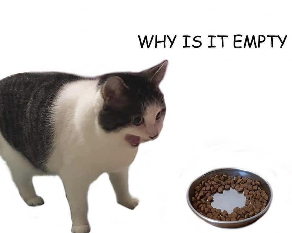 Why Is It Empty ?
