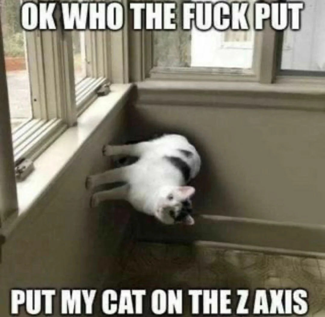 X-Axis Cat