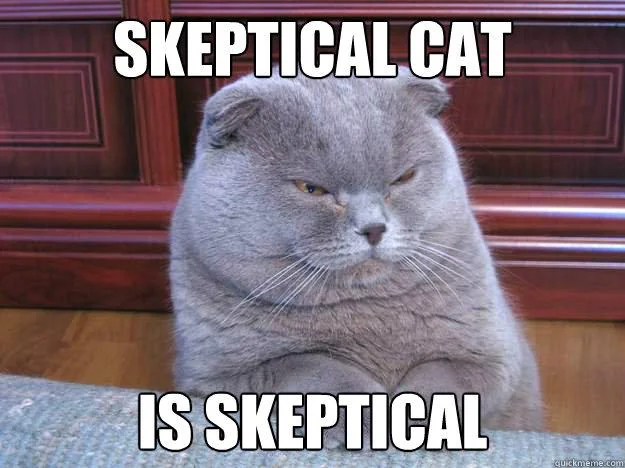 Skeptical Cat